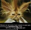 Poze funny - Sun un shaman bun , sunt un shaman bun , sunt un - Distracţie